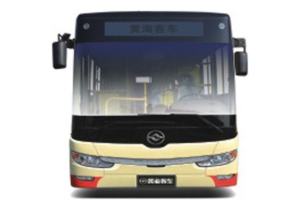 黃海DD6109CHEV6N公交車（NG/電混動(dòng)國五18-36座）