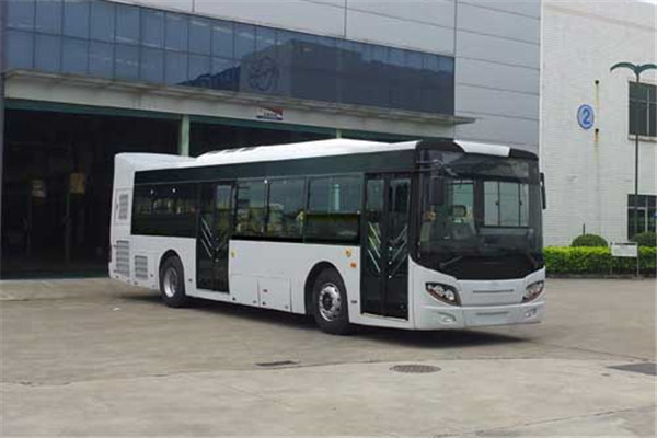 五洲龍F(tuán)DG6113HEVN5公交車（天然氣/電混動(dòng)國(guó)五10-33座）