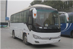 宇通ZK6816H5Y客車（柴油國五24-35座）