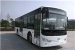 安凱HFF6105G03EV公交車（純電動(dòng)10-37座）