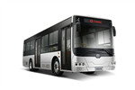 中車電動TEG6105BEV11公交車（純電動20-39座）