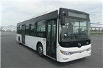 黃海DD6109EV10公交車(chē)（純電動(dòng)20-32座）