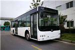 中車(chē)電動(dòng)TEG6129BEV13公交車(chē)（純電動(dòng)23-44座）