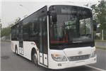 安凱HFF6101G03CHEV-1插電式公交車（柴油/電混動(dòng)國(guó)五10-36座）