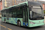 安凱HFF6120G9EV11公交車(chē)（純電動(dòng)20-46座）