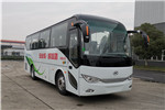 安凱HFF6900A6D6Y客車（柴油國六24-40座）