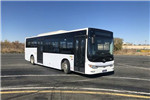 黃海DD6109EV17公交車（純電動19-41座）